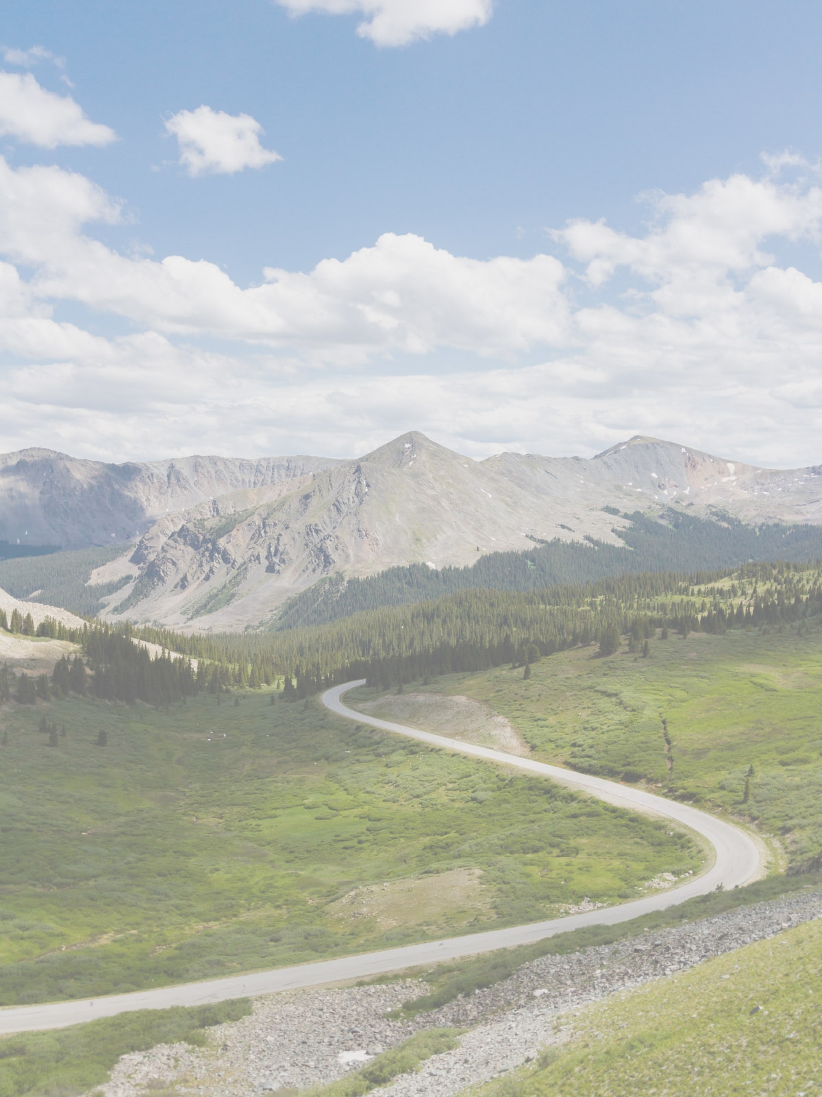 mount crested butte bike rentals