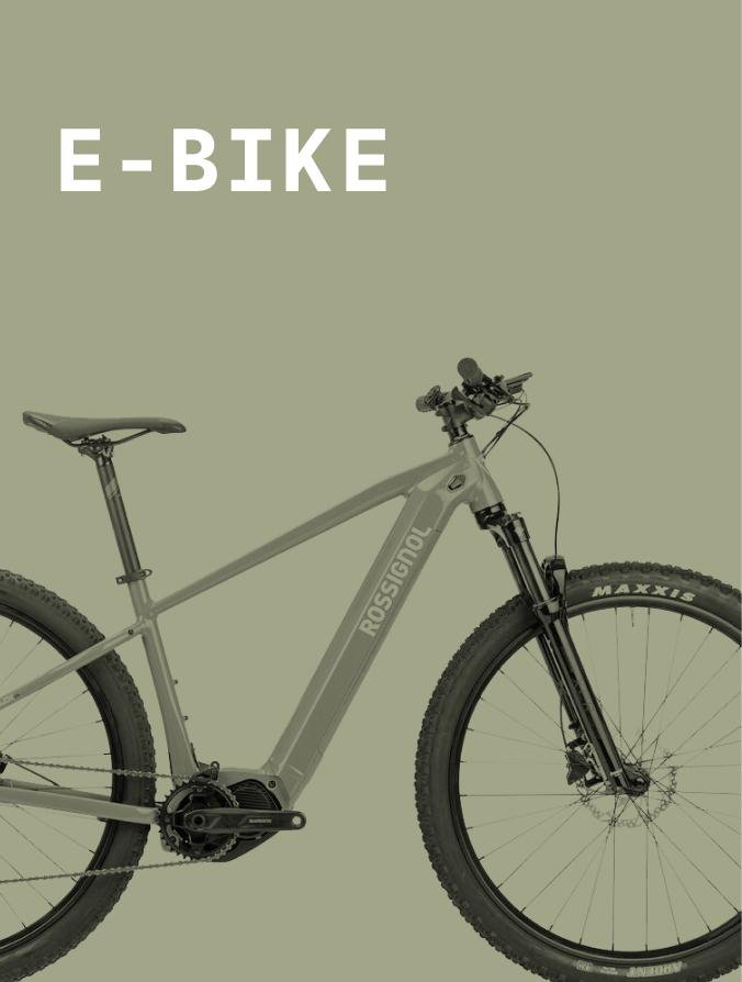Crested Butte E-Bike Rental