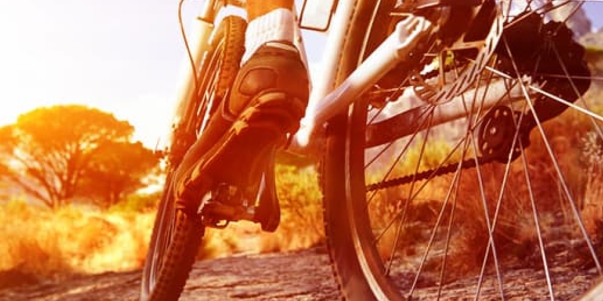 Summer Bike Rentals in Crested Butte, Colorado